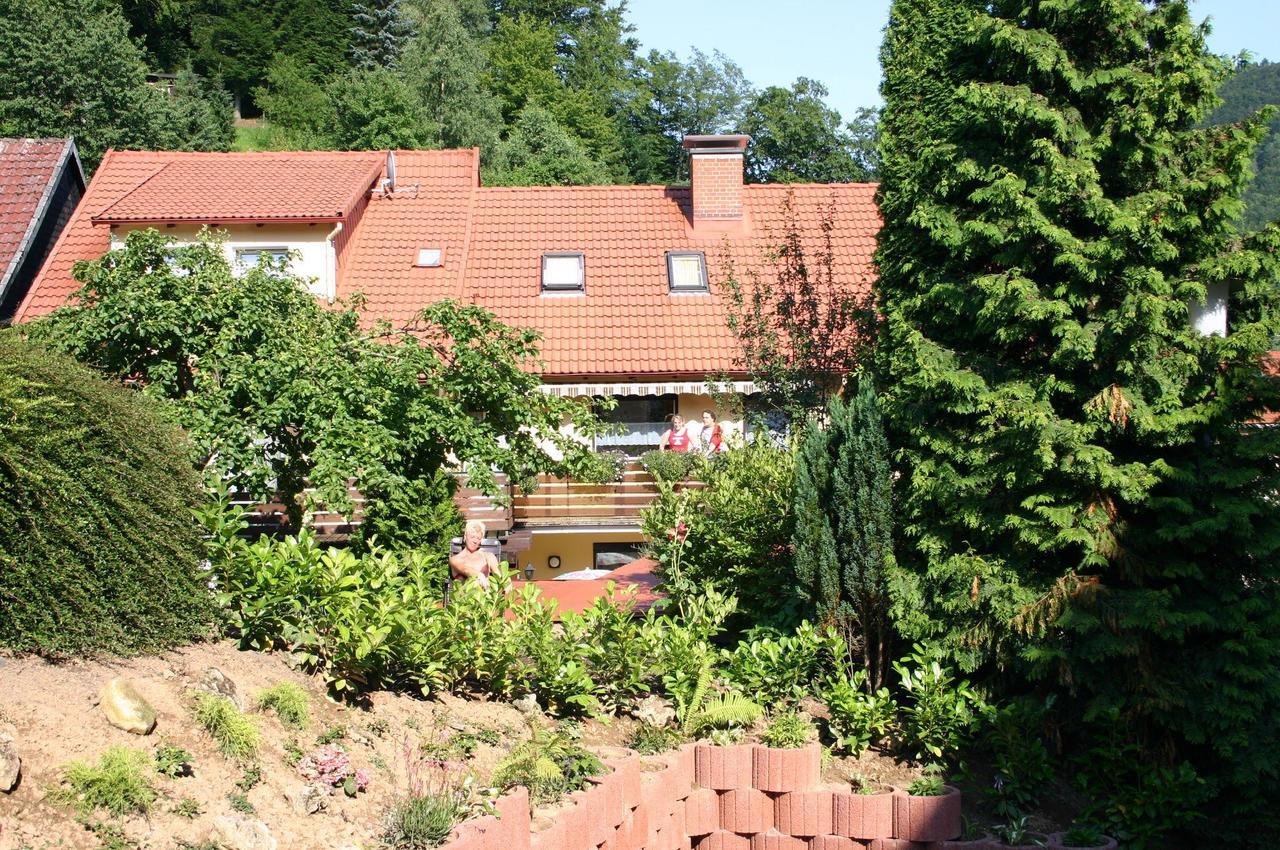 Haus-Kummeleck-Wohnung-3 Bad Lauterberg Exterior foto